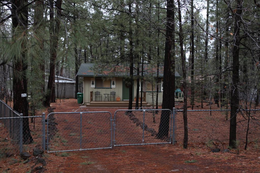 Adair Springs Cabin 派托普湖畔 外观 照片