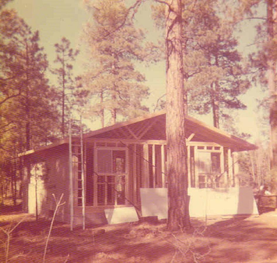 Adair Springs Cabin 派托普湖畔 外观 照片