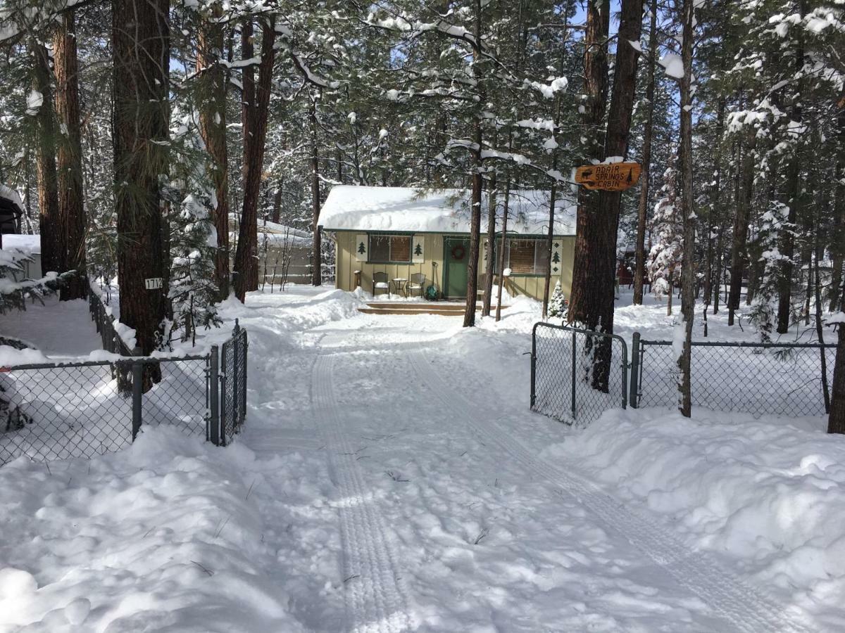 Adair Springs Cabin 派托普湖畔 外观 照片